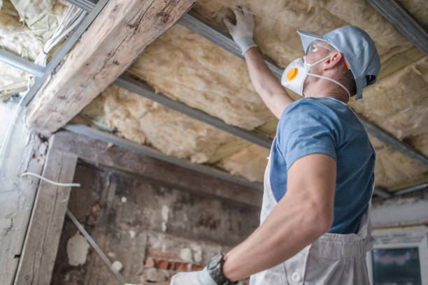 Best Home Insulation Services  in Mauriceville, TX